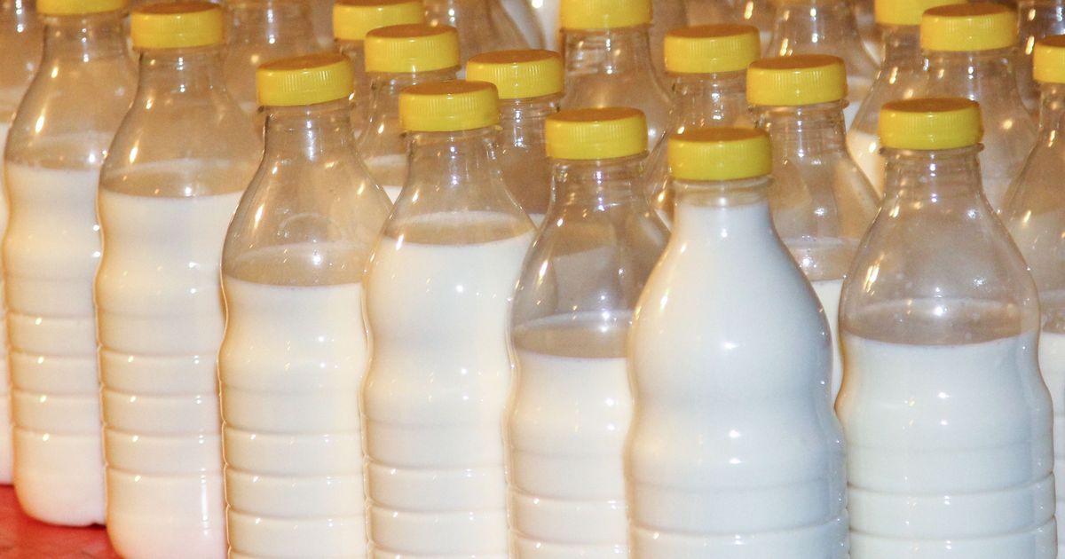 Aasta lõpuks prognoositakse põllumajanduses häid tulemusi