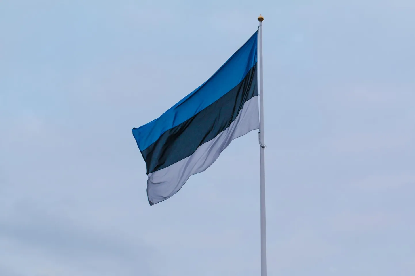 Laulupeotraditsiooni äramärkimiseks kehtestas valitsus ühekordse lipupäeva.