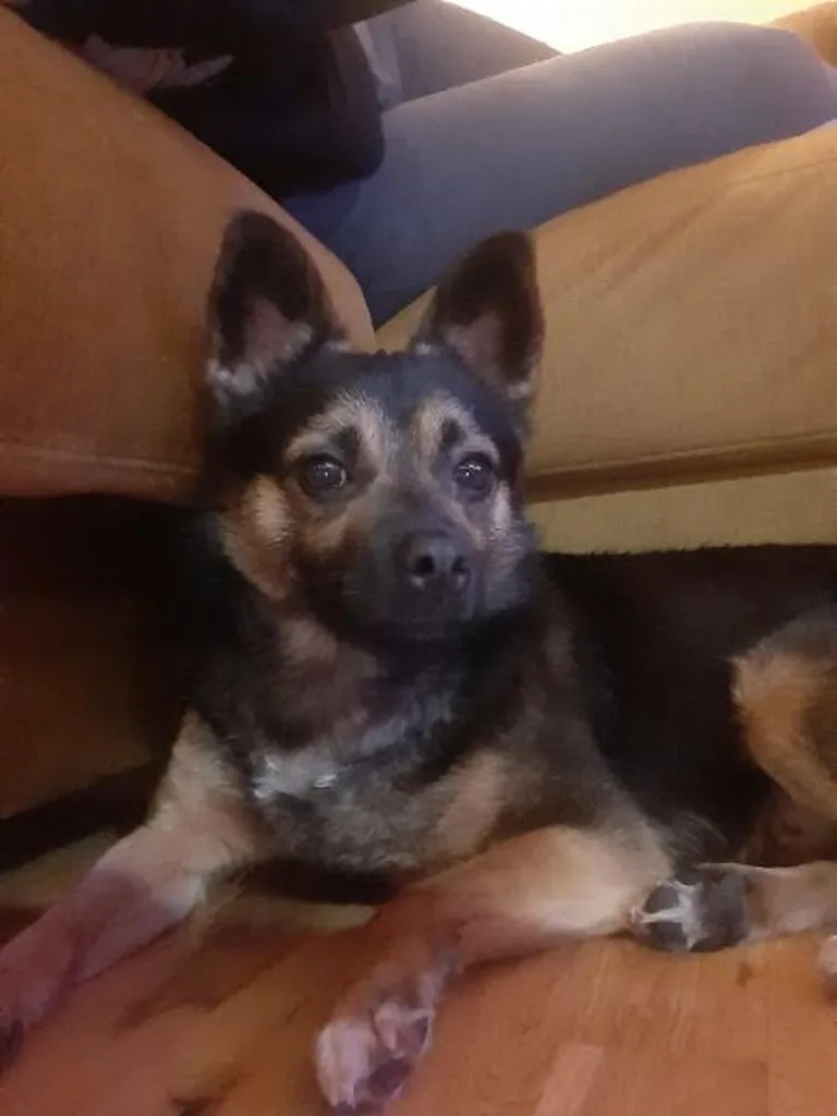 Sam
