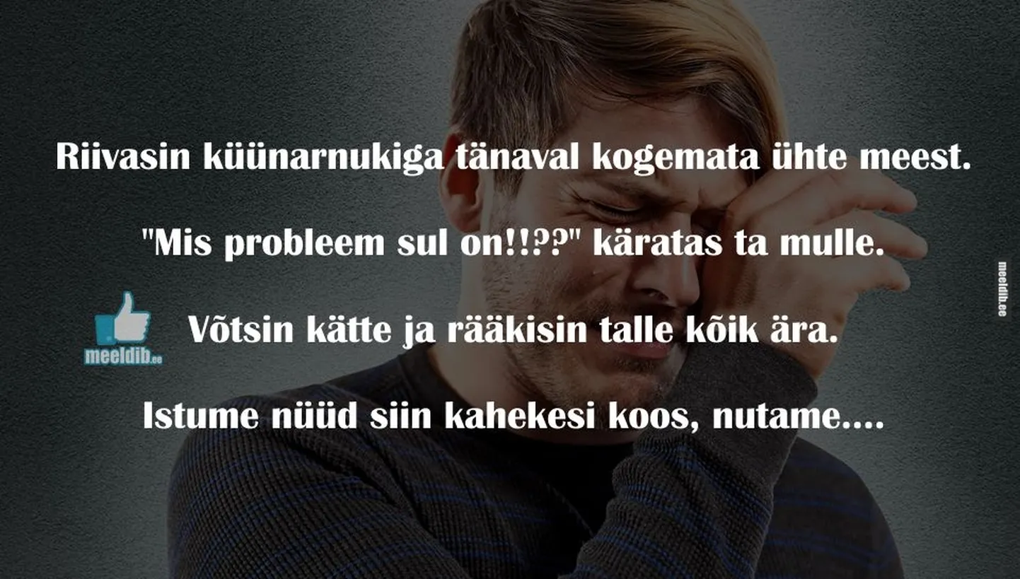 Artikli foto