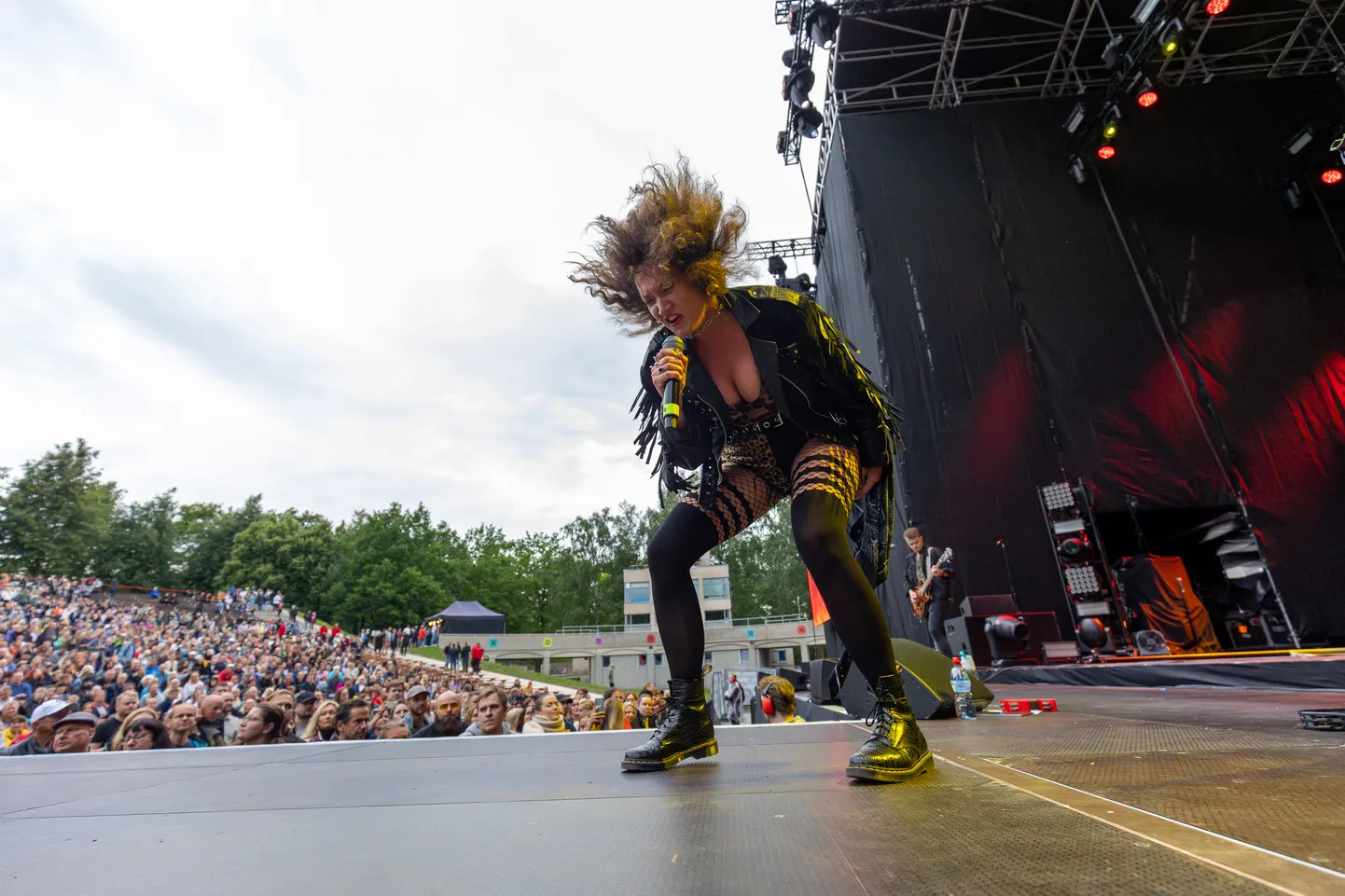 Külalisesineja Ziggy Wild