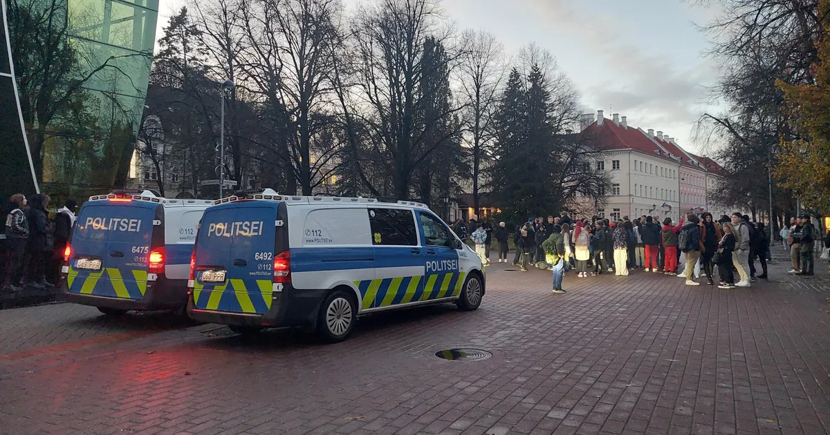 Noortejõuk vapustas Viimsi rahulikku elu. Kas samad probleemid on ka mujal Eestis?