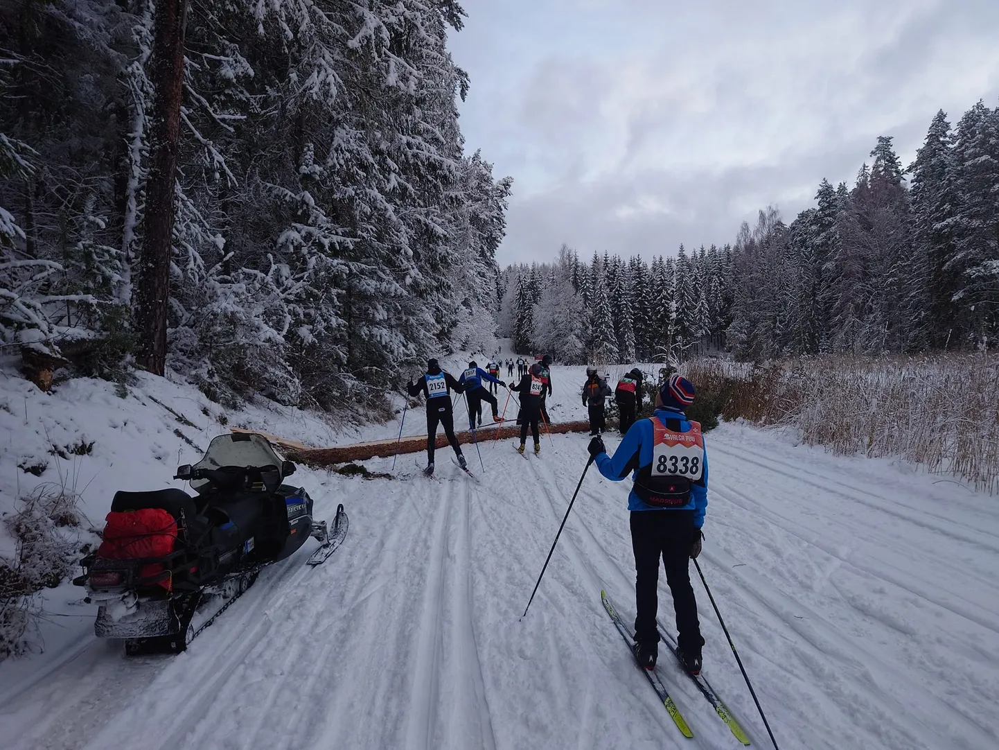 Puu kukkus maratonirajale just siis, kui suusatajad seda kohta läbisid.