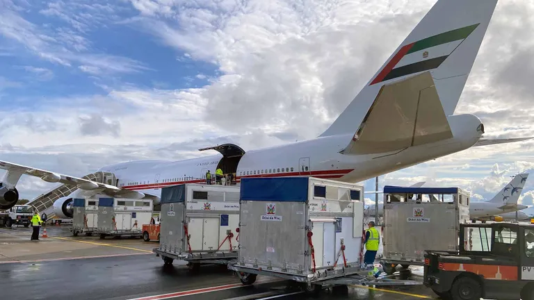 Lennujaama saabunud hobused spetsiaalsetes transpordikastides