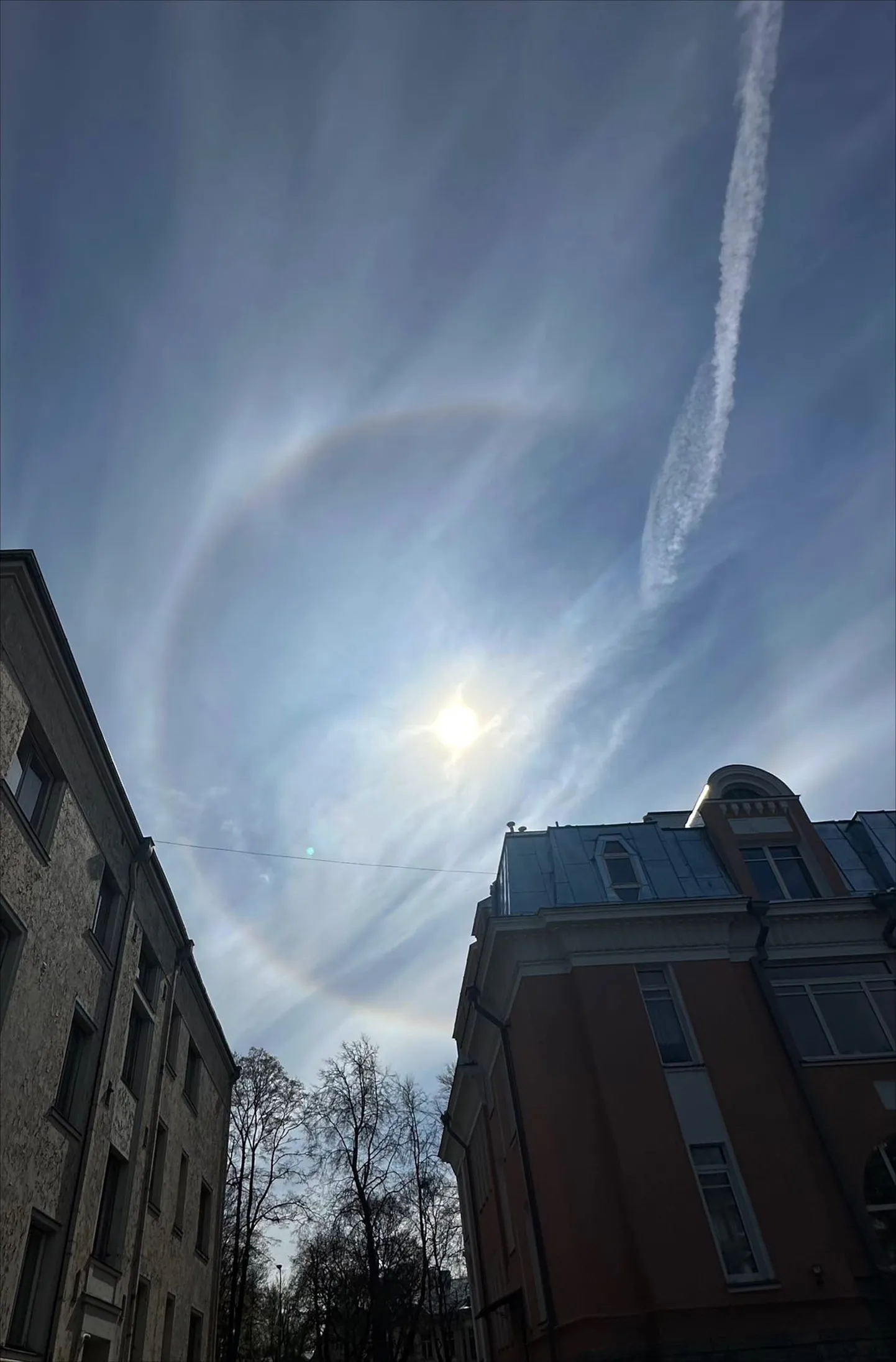 Природное явление гало в небе над Таллинном