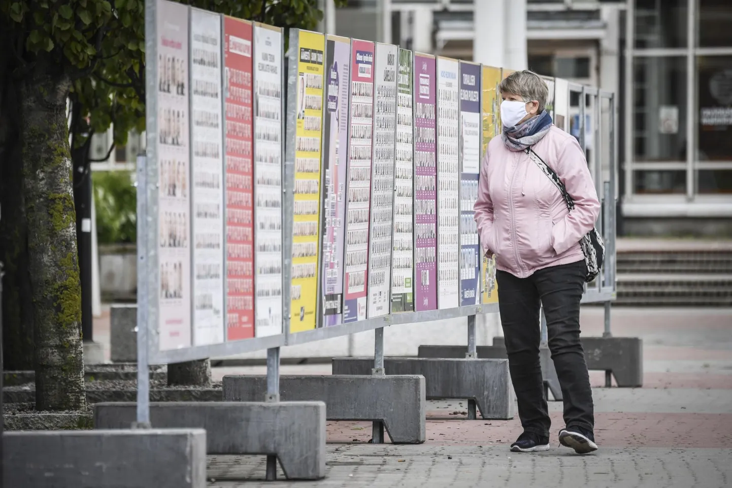 Naine tutvub Helsingi tänaval Soome pealinnas kohalikeks valimisteks üles seatud kandidaatidega.