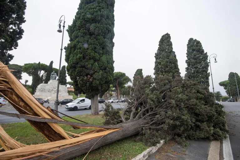 Itaalia sügistormis murdunud puud