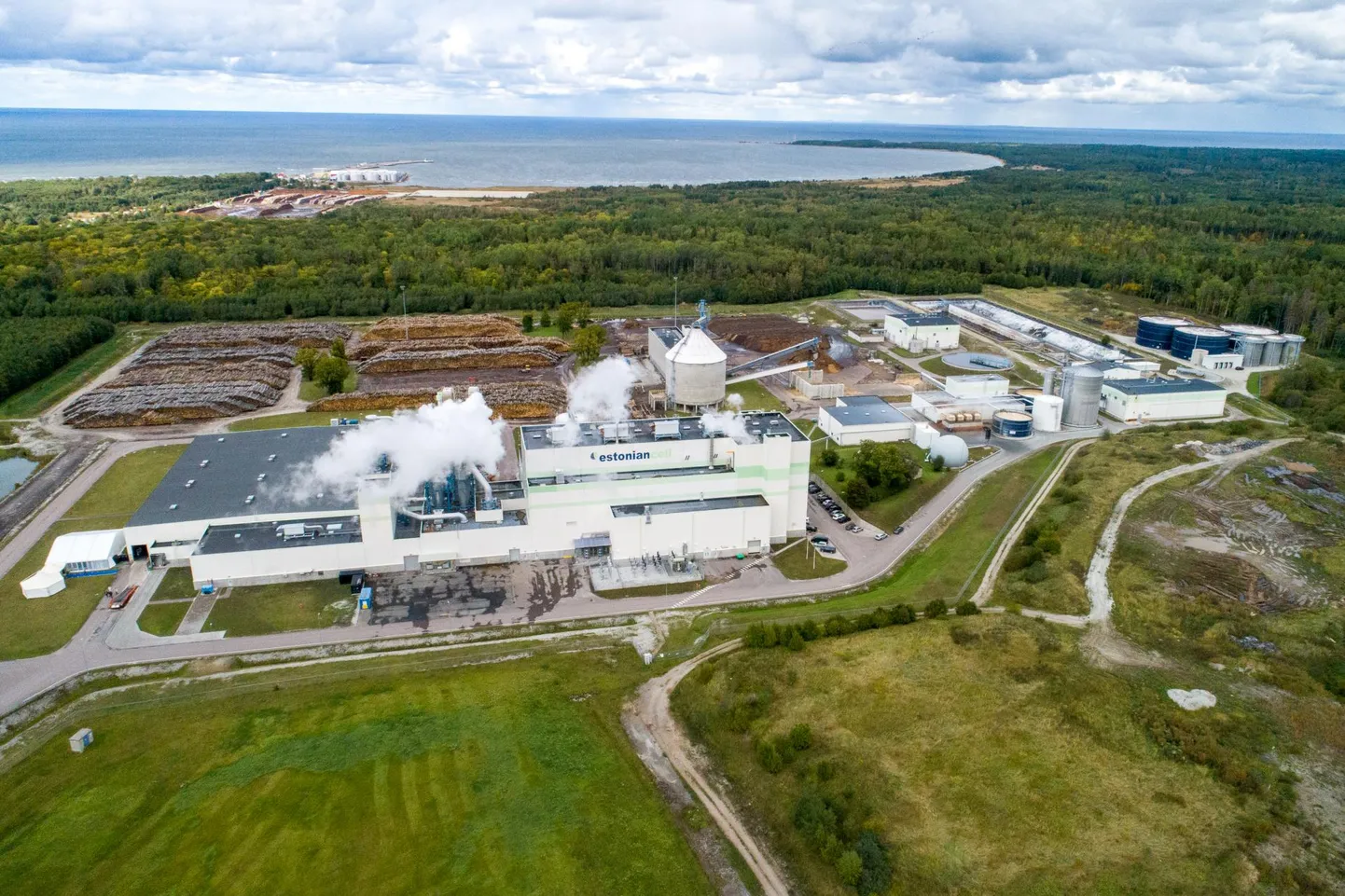 Kunda lähistel tegutsev Estonian Cell kuulutati Eesti aasta ettevõtteks.