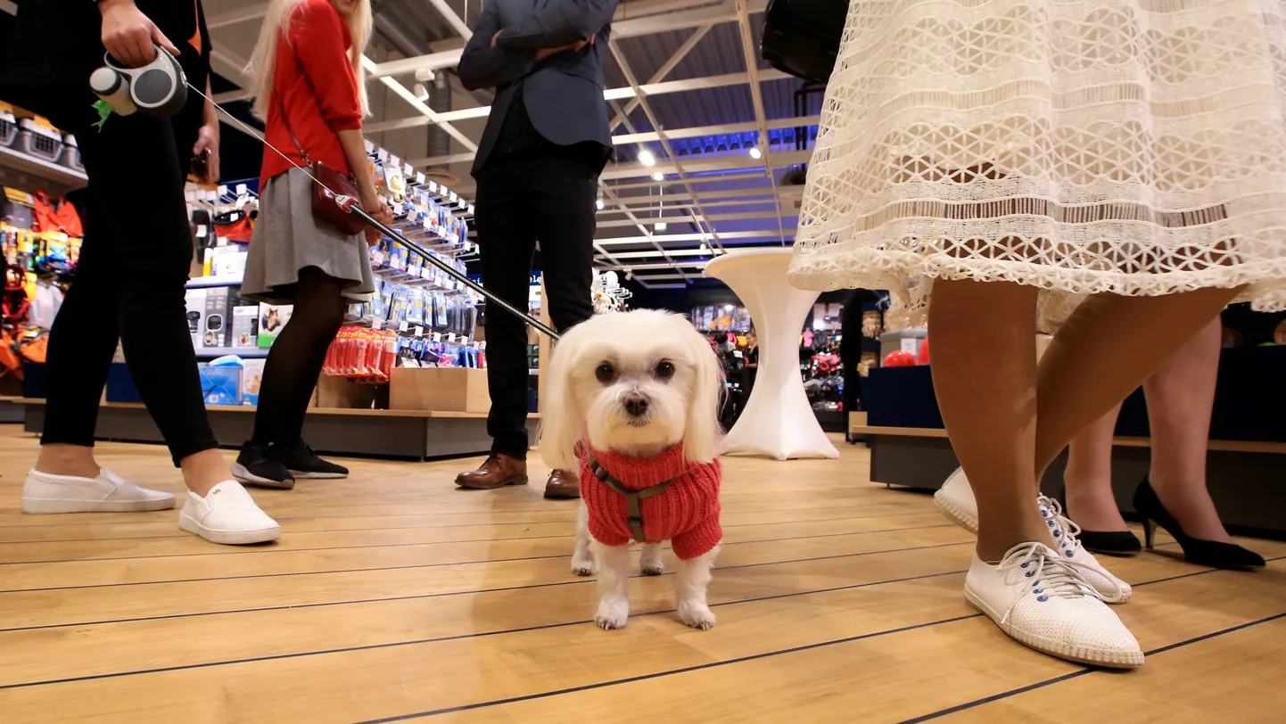 PetCity Lõunakeskuse lemmikloomapoe avamine.