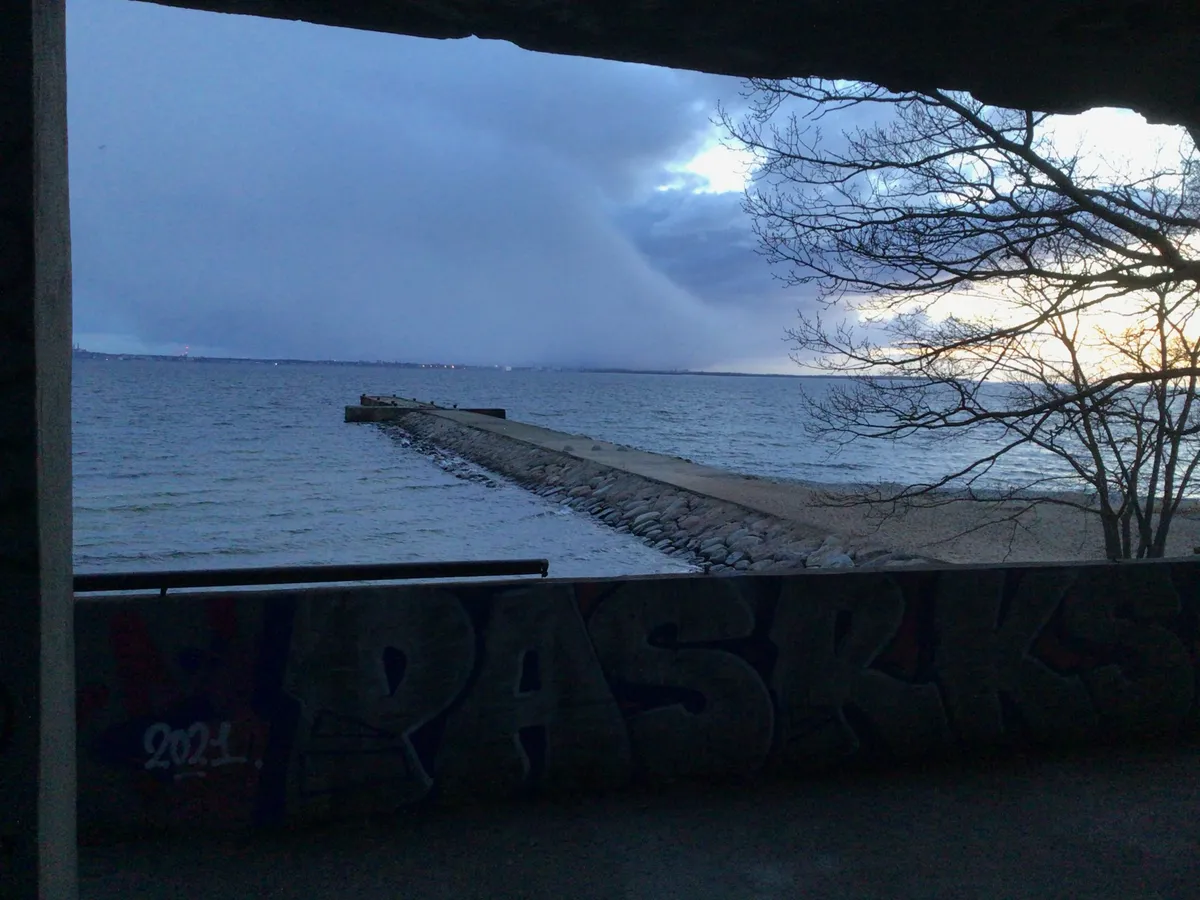 2021 - muul laguneb ning hinnatud bussipaviljon on täis soditud.