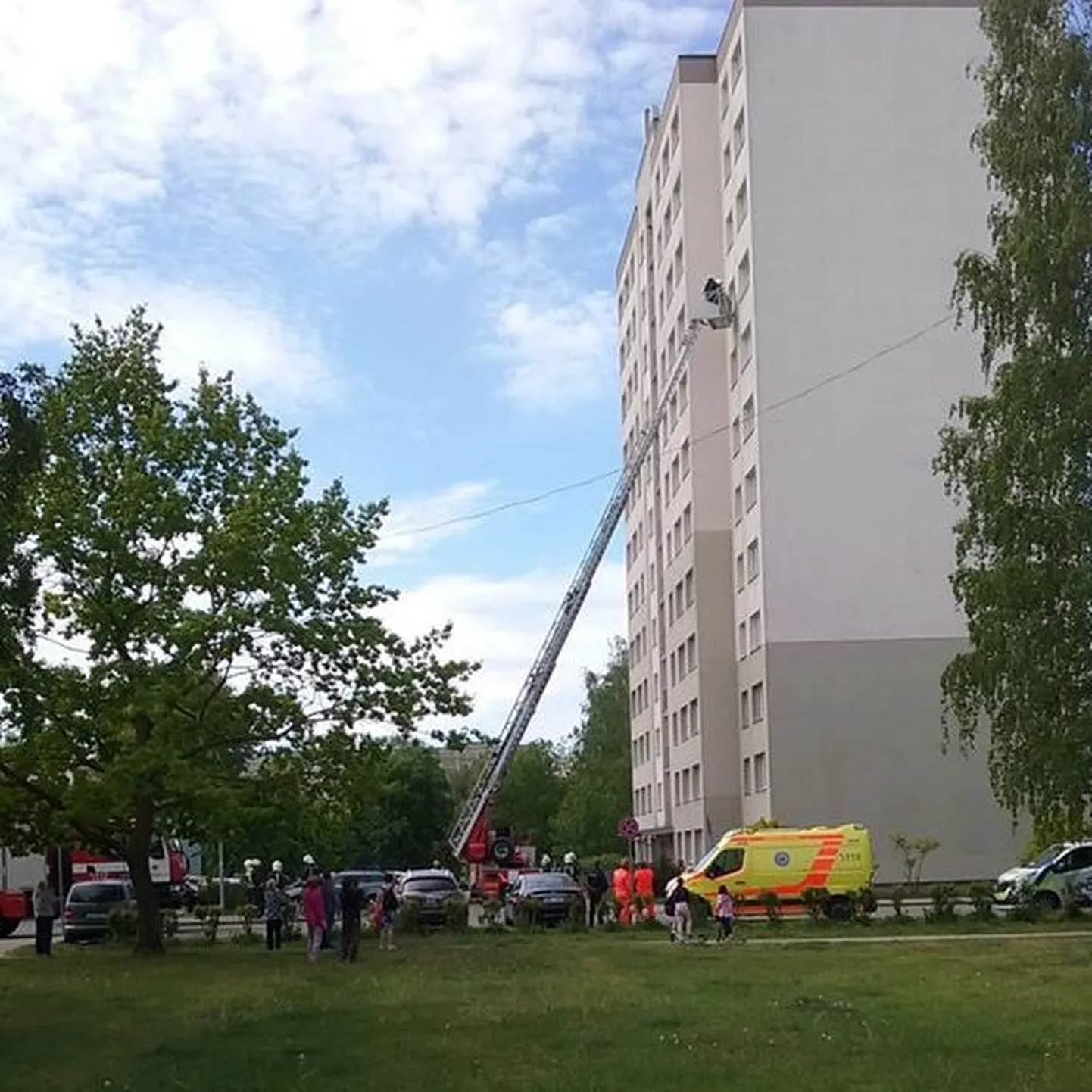 Raksta foto