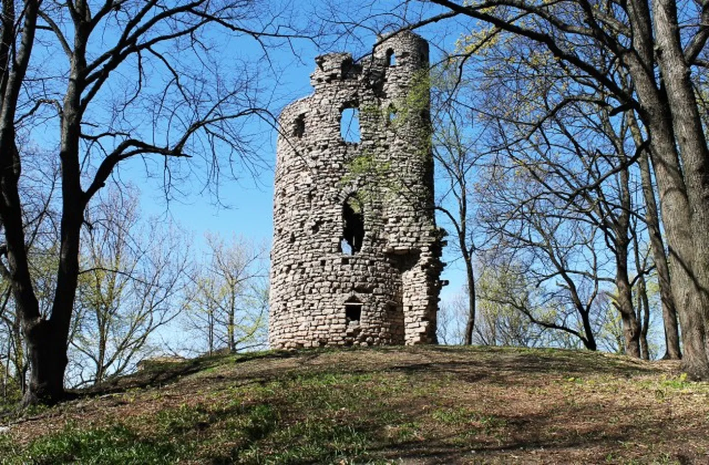 Парк Алдара
