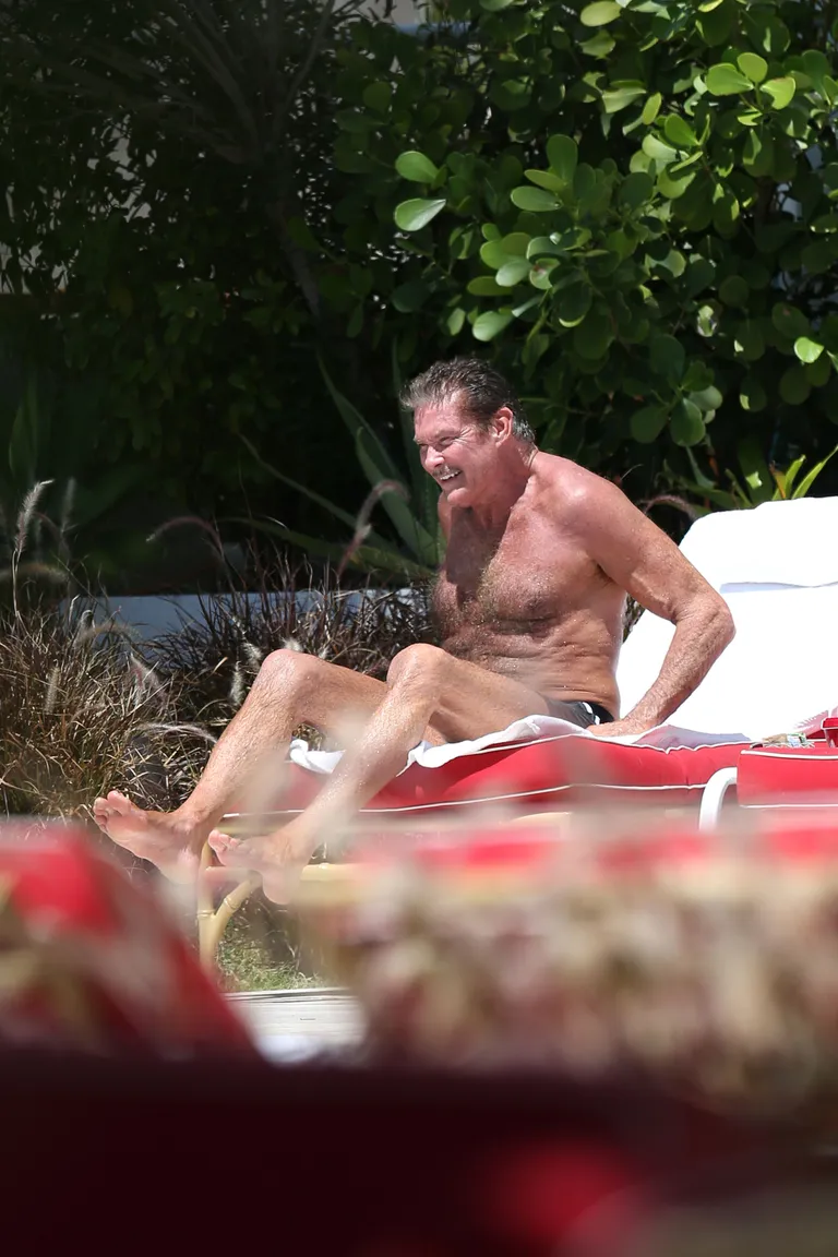 David Hasselhoff