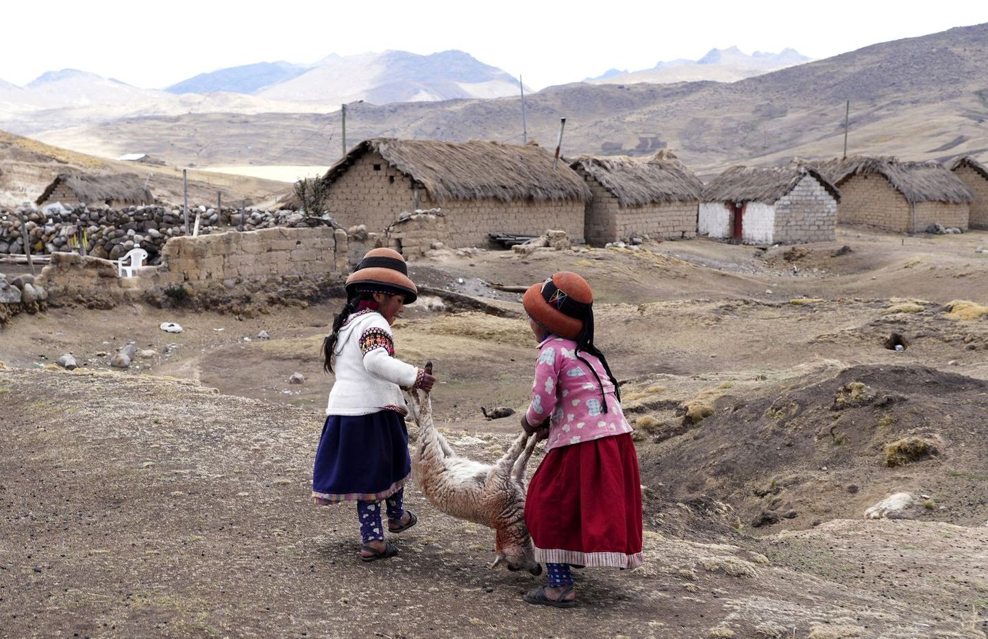 Девочки несут умирающую овцу в Перуанских Андах.