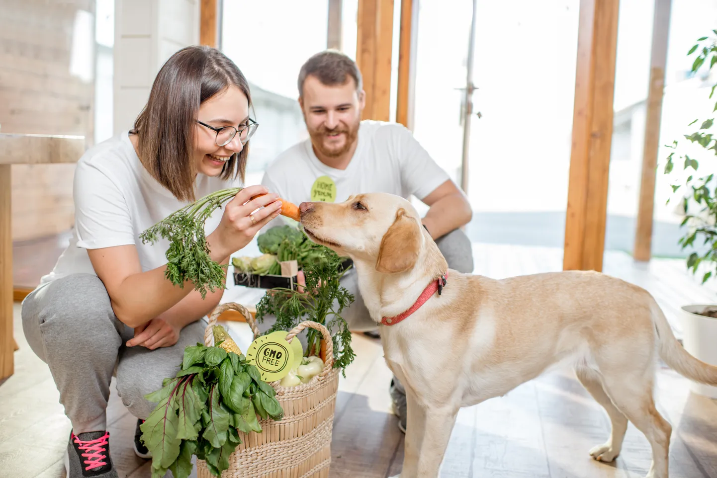 Taimses toidus ei ole B-12 vitamiini ja seda võiks vegan juurde võtta, ütleb Nikolai. Kuna see on tänu erinevatele väetistele mullas olemas, tarbivad mõned veganid mullaseid juurvilju. «Kui oma aiamaa pealt porgandi välja tõmbad, siis võid natuke sealt B-12 saada – pühid porgandi muidugi puhtaks – aga tavaliselt ikka poest ostes tahad porgandi mullast puhtaks pesta ja ära koorida,» märgib Nikolai.