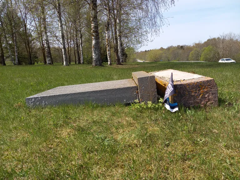 Sinimägedes rüüstati kokku seitset mälestusmärki.