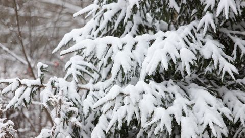 Во вторник в Эстонии ожидаются снегопады и легкий мороз