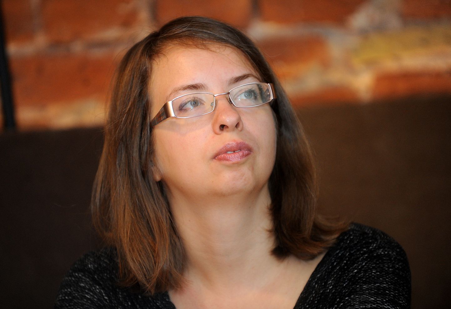 Sabiedriskās politikas centra "Providus" pētniece Iveta Kažoka 