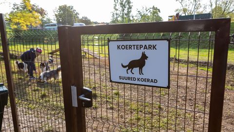 Koertepark ootab valgustust