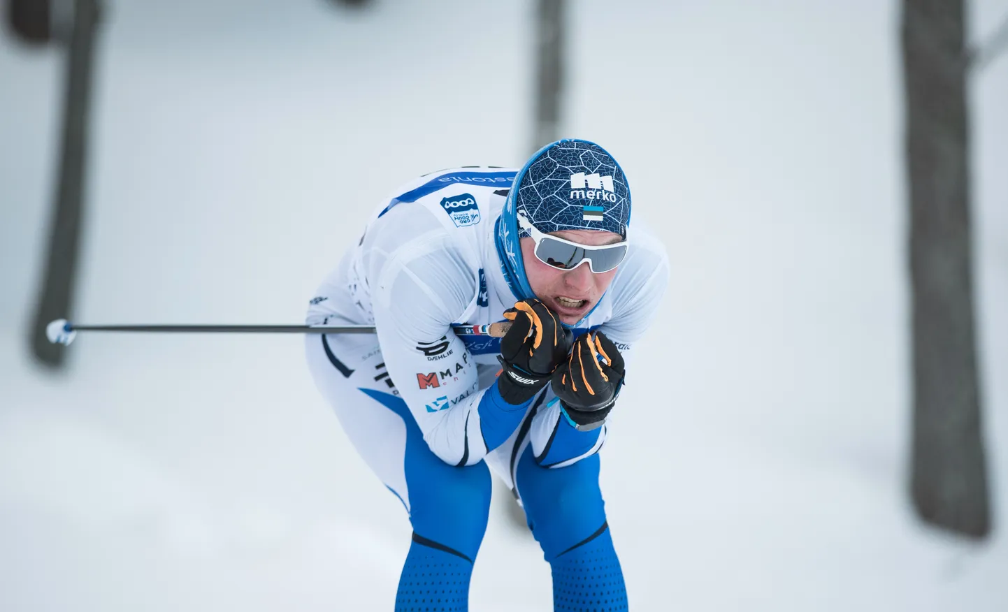 Karel Tammjärv.