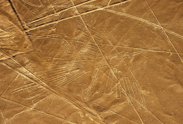 Nazca geoglüüfid, pildil kondor