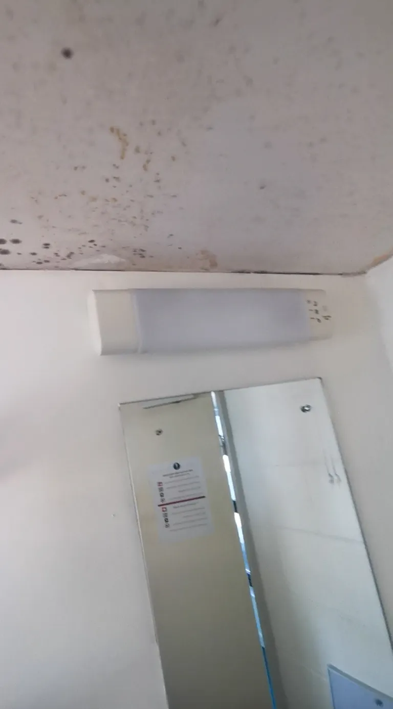 Hallitus katab kogu toa lage.