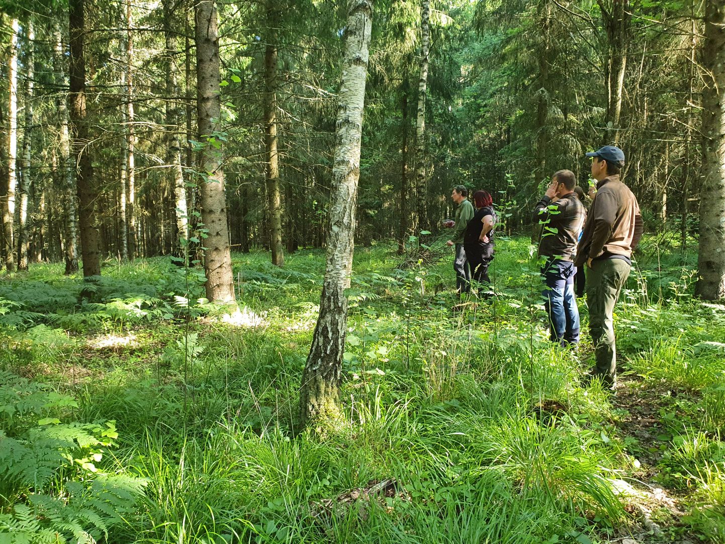 Lõuna-Eestist kandideerib aasta metsamajandaja tiitlile neli metsaomanikku.