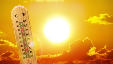 Осторожнее в жару: специалисты рассказали при какой температуре человек может умереть