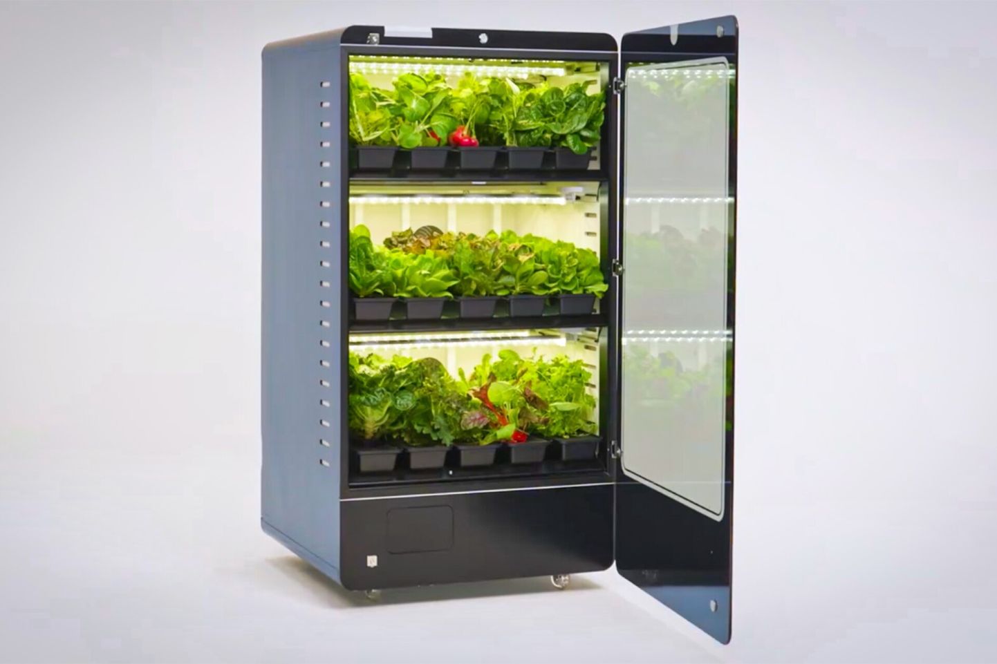 Vesi, elekter, seemned ja kapaga tehisaru – see kasvuhoone teeb toanurgas valmis te rohelise toidu.