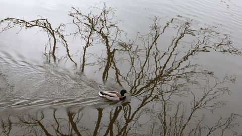 Pirmdien pūtīs auksts vējš