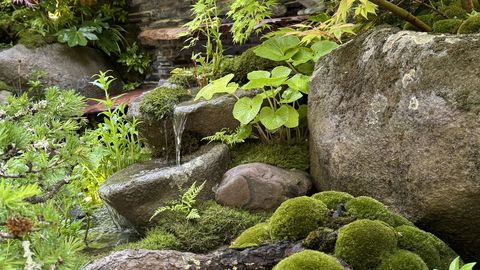 Sammal aias: märk, et midagi on valesti