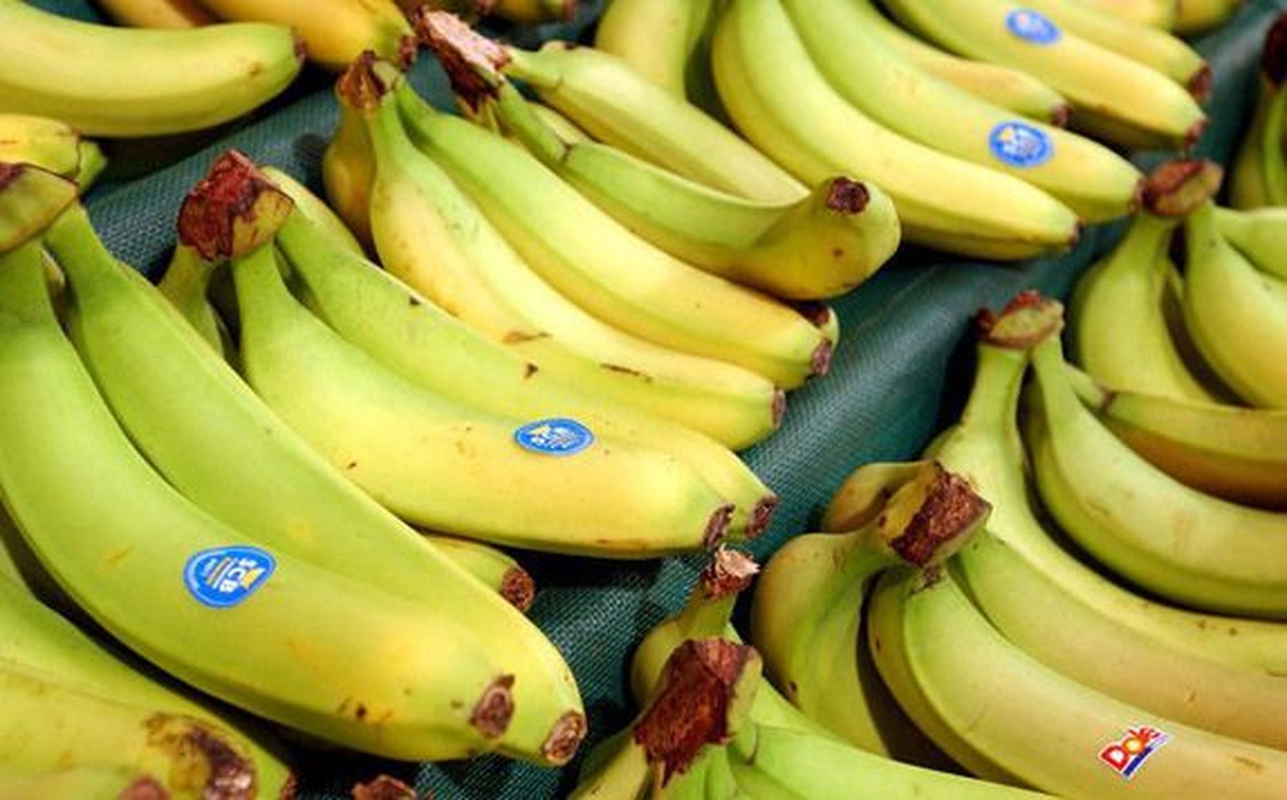Hammastele mõjuvad kahjulikult ka banaanid.