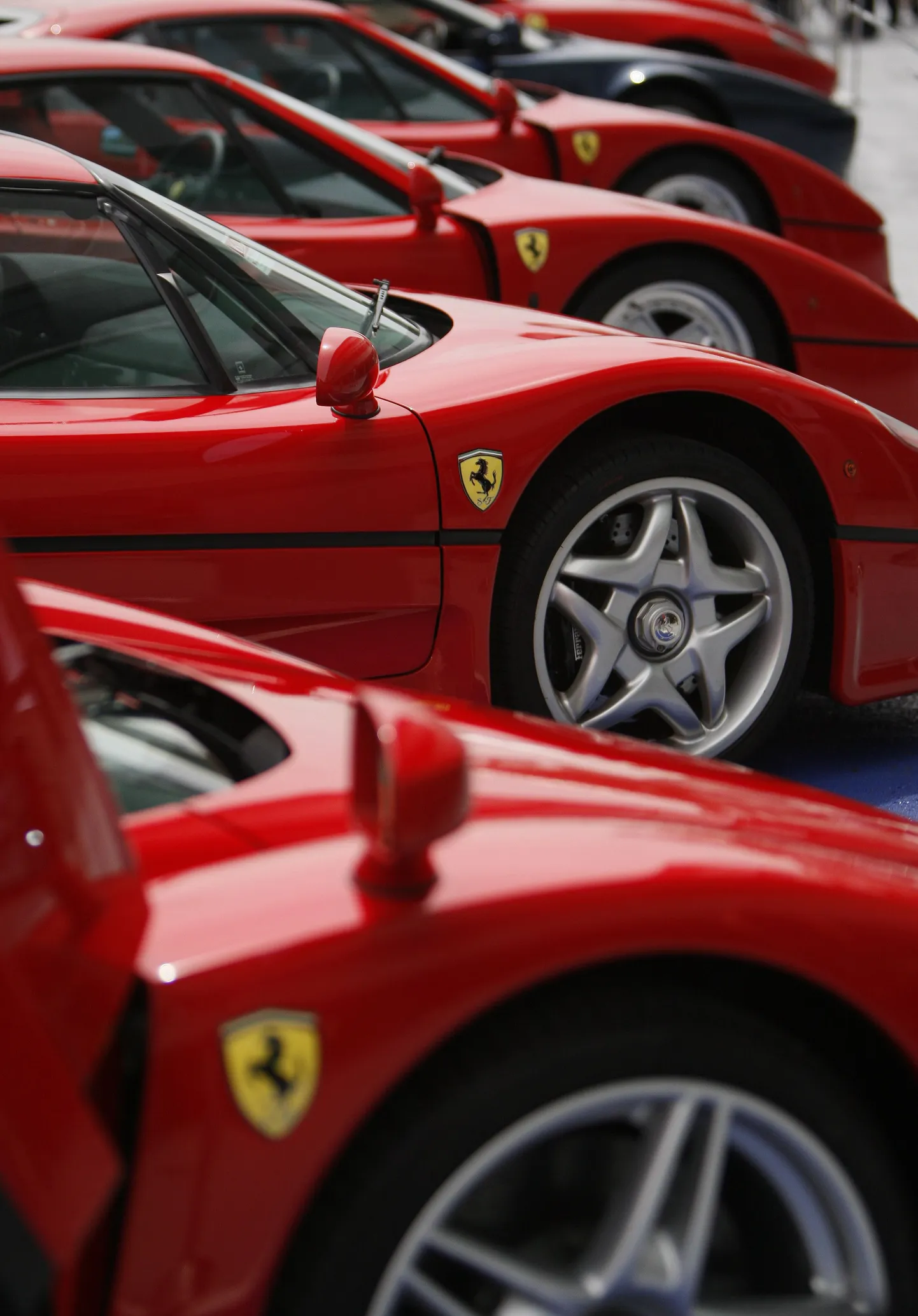 Ferrarid.