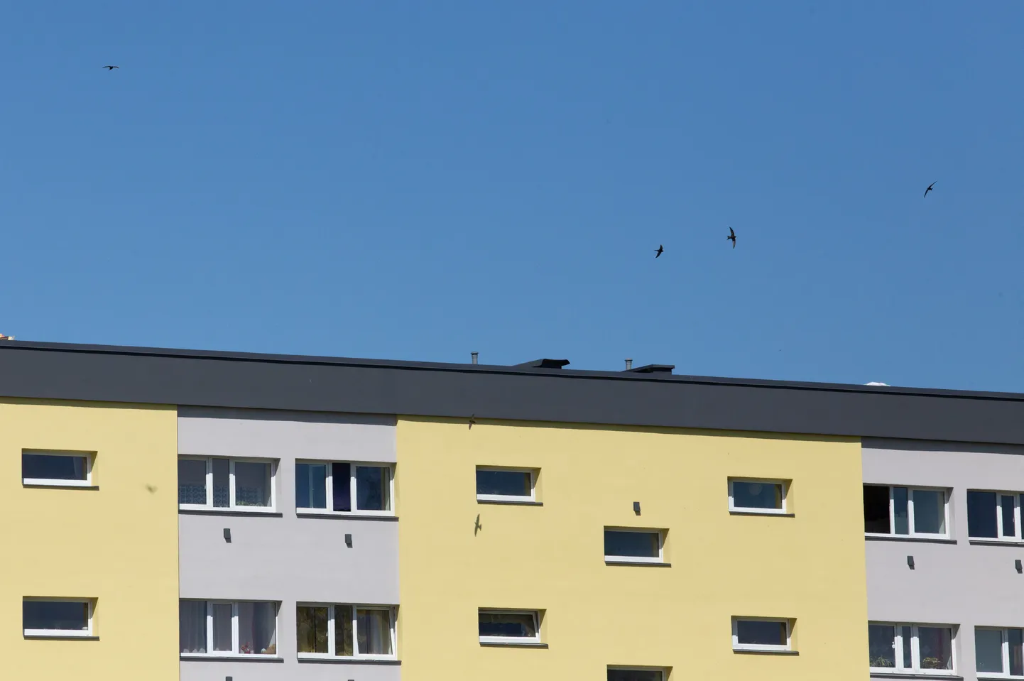 Paalalinn. Pilt on illustreeriv.