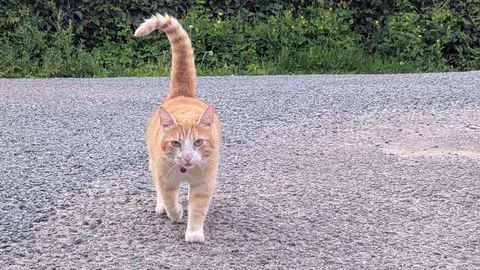 Gaidāma viena no siltākajām naktīm šogad