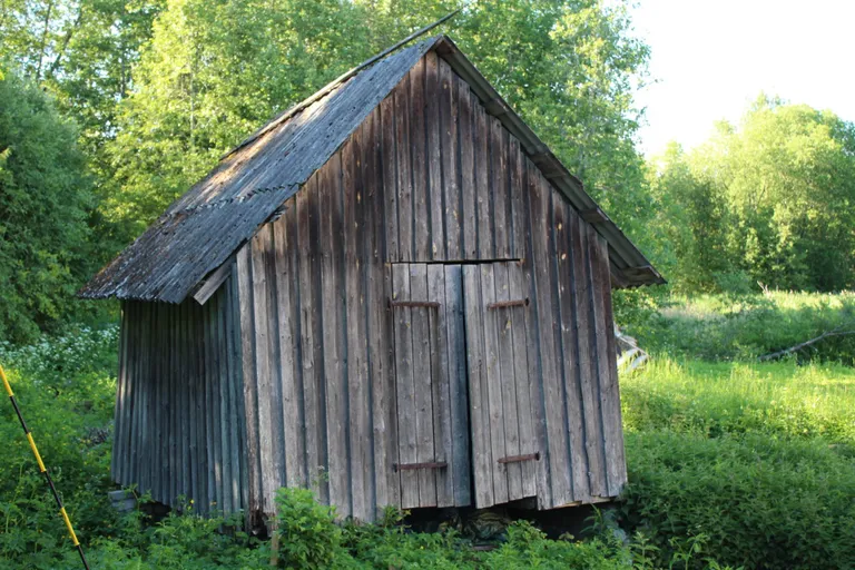 Jäneda vesiveski on tegutsenud ka saekaatrina. Siis hoiti selles kuuris saeraami püstiste saelehtedega.