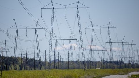 Eesti imeväikese elektritarbimise põhjustas väheteada anomaalia