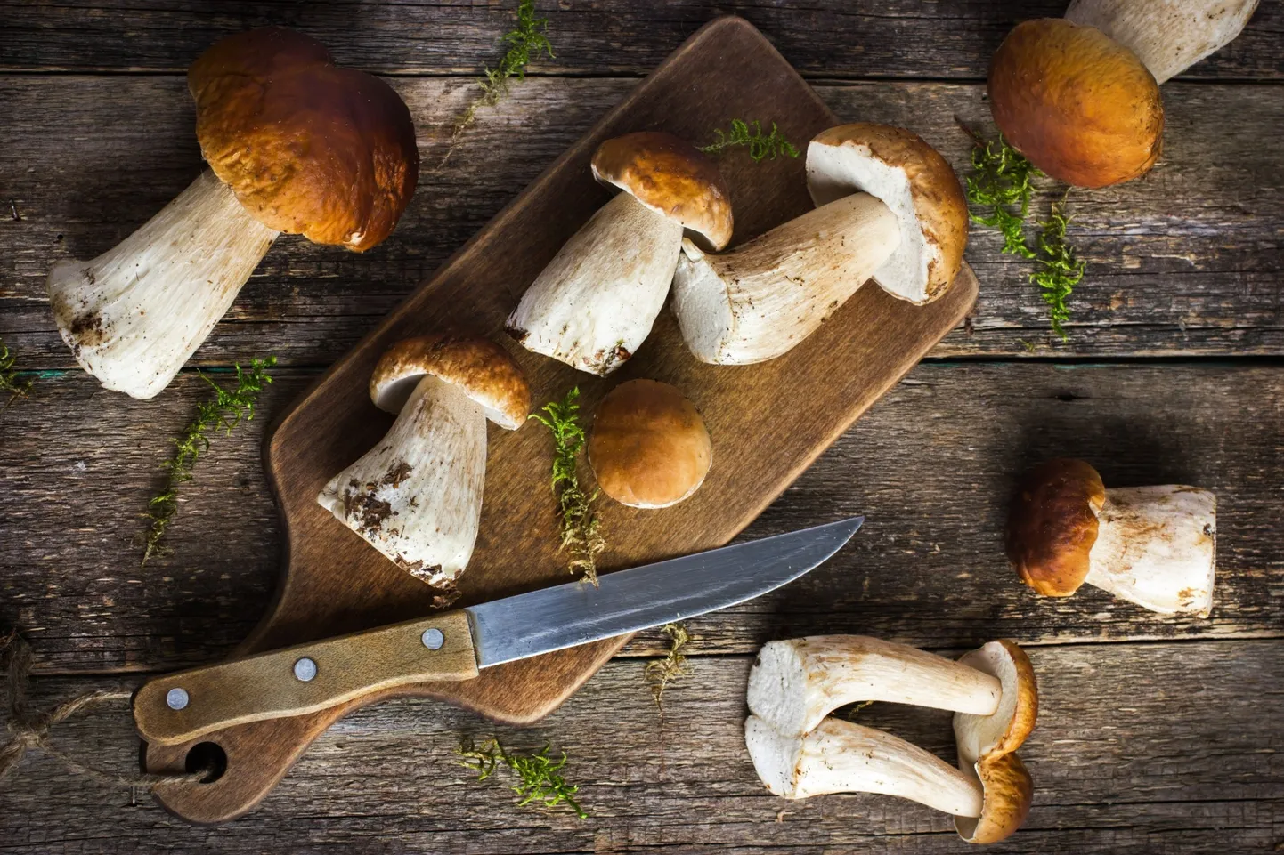 Rudens prieks - sēnes! Noderīgi padomi un receptes