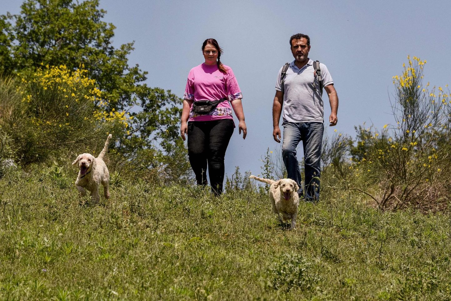 Trühvlikütid Evgjeni (vasakul) ja Panajot Pano koos oma koerte Bossi ja Lajkaga otsimas hinnalisi seeni Peshtanis Lõuna-Albaanias.