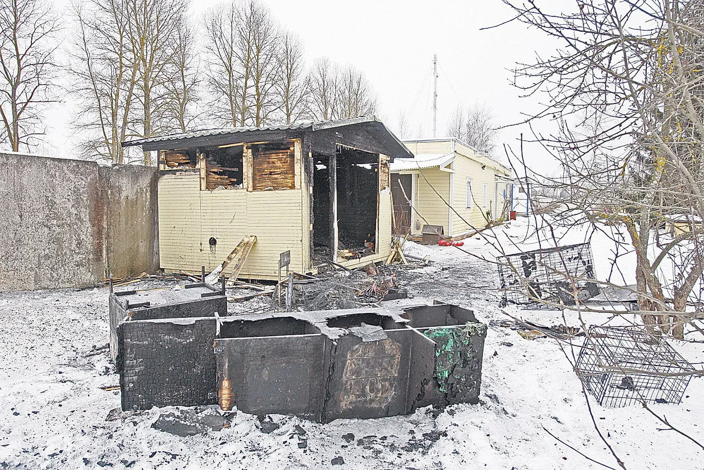 Koduta loomade varjupaigas elektriradiaatorist süttinud kassipoegade majast jäid püsti vaid söestunud seinad. Õnneks jäid tulest puutumata põlenud hoonest mõne meetri kaugusele jäävad majad.