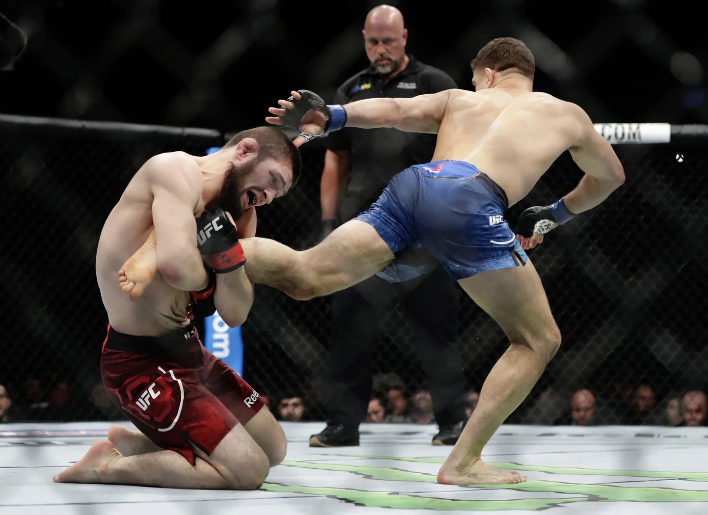 Khabib Nurmagomedov (vasakul) ja  Al Iaquinta