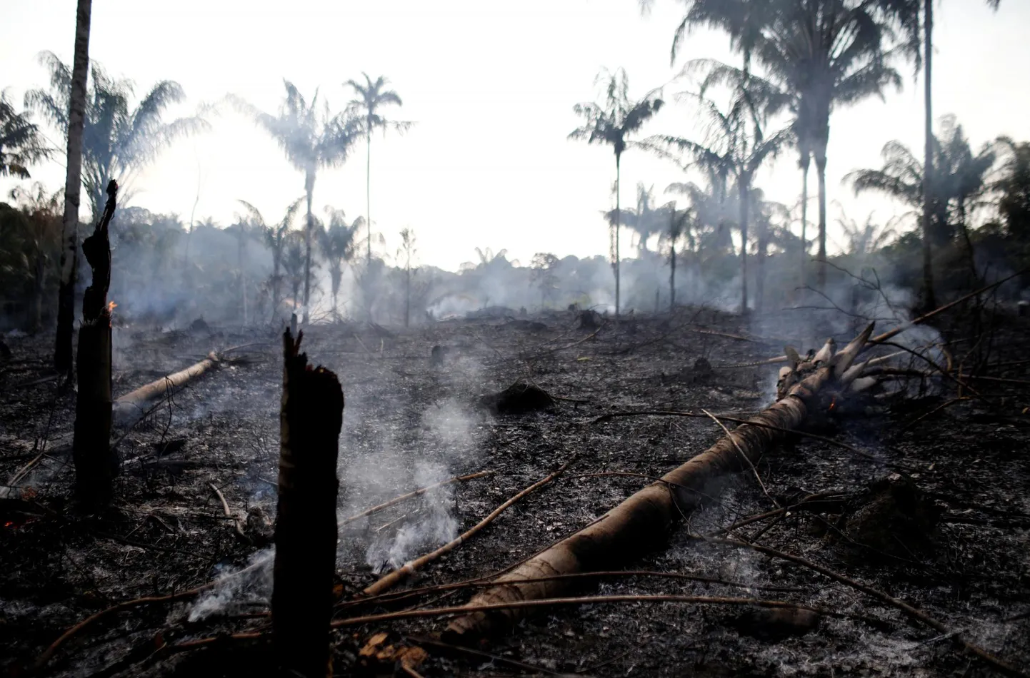 Põlengujärgne Amazonas.