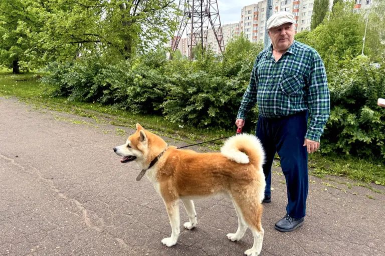 Владимир и его верный друг.