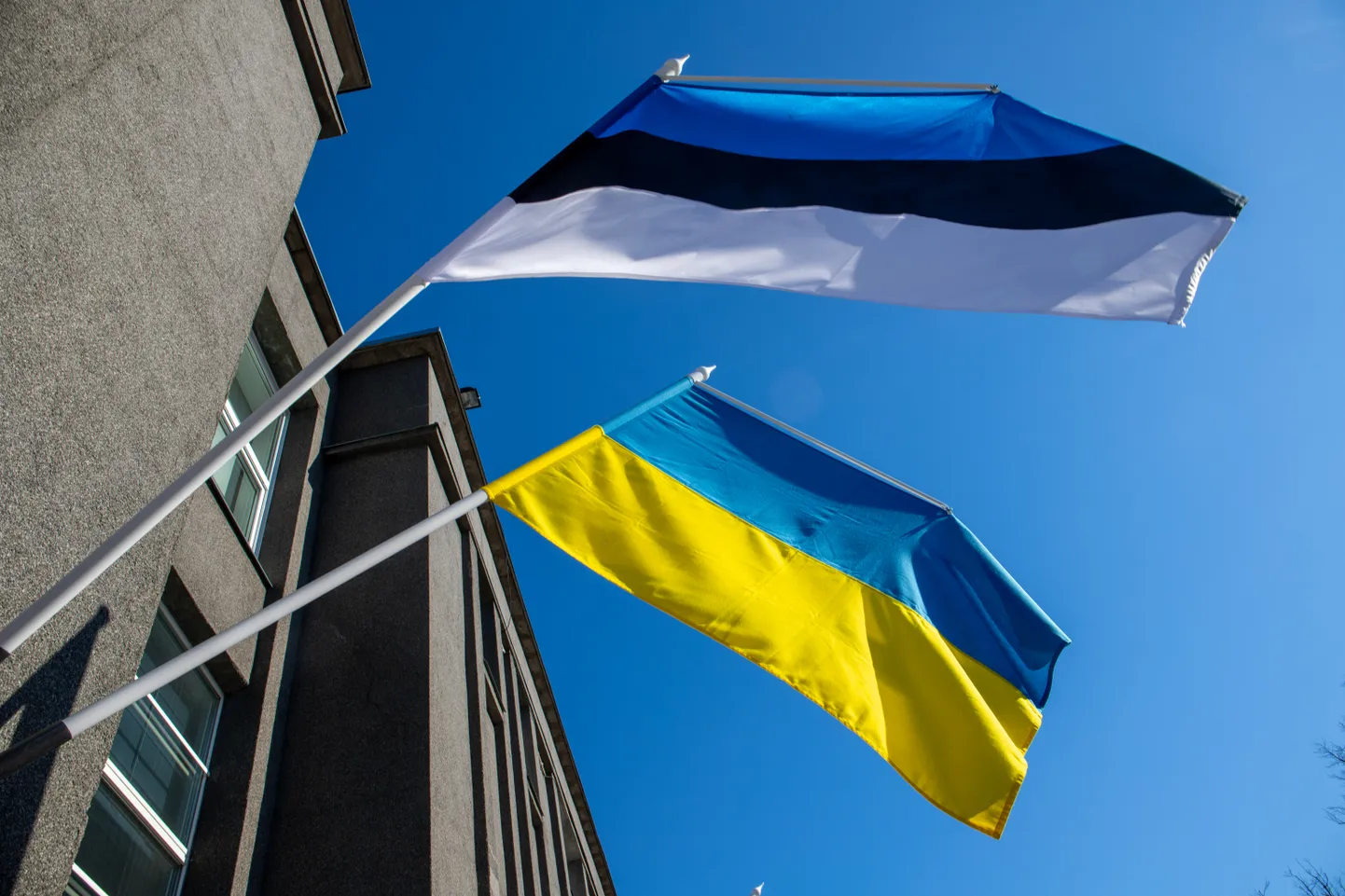 Eesti ja Ukraina lipud.