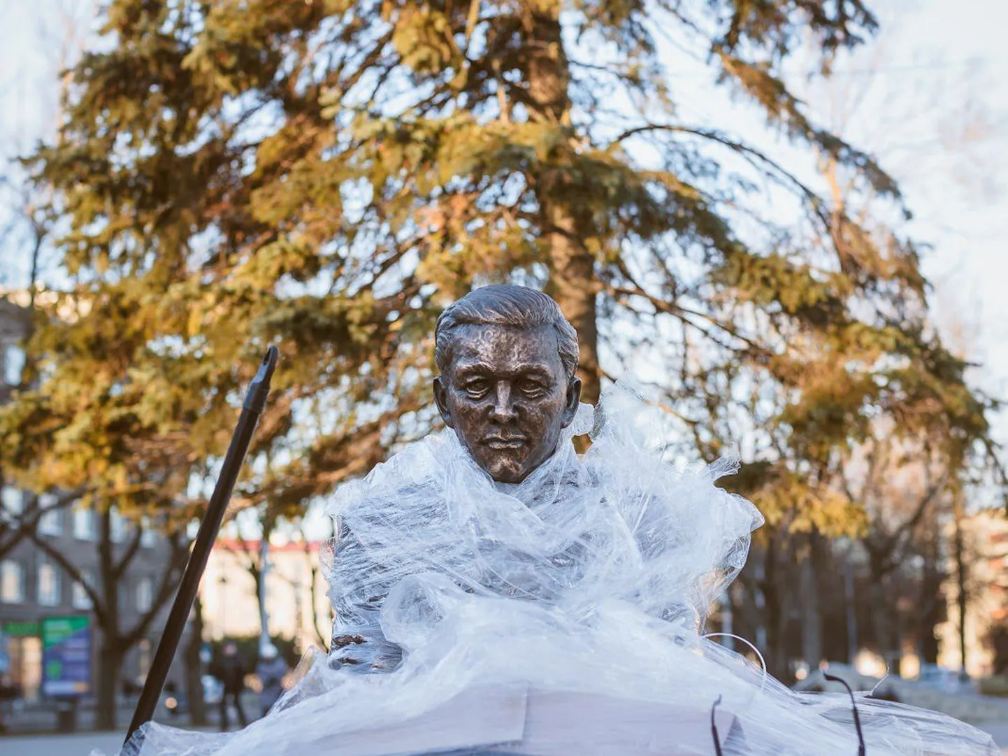 Фото статьи
