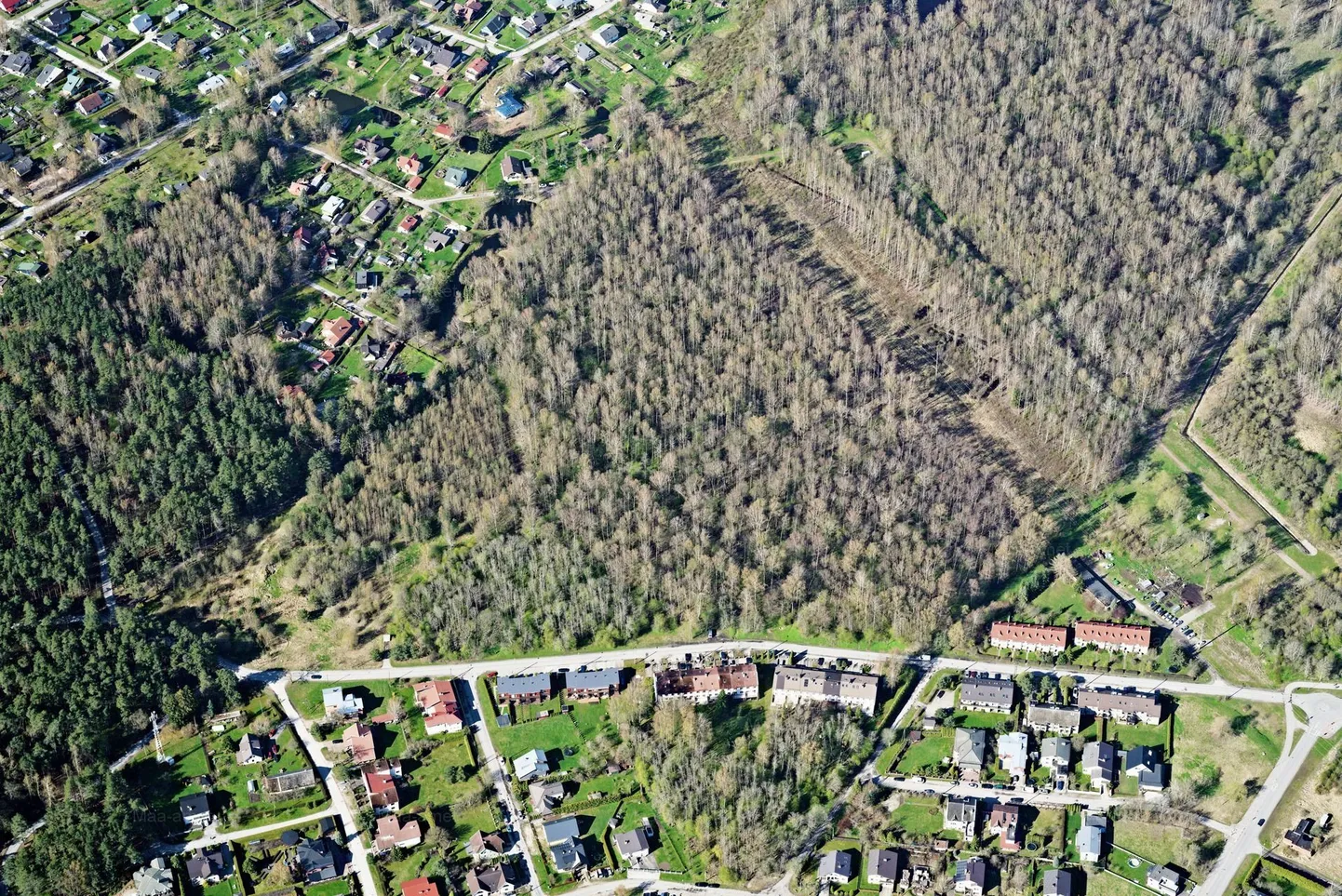 Tartu vajab kooli ostmiseks maad