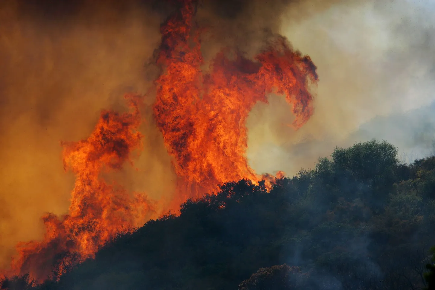 Rahvuspargis põlengu tekitanud kodutule määrati 101 miljoni dollari suurune trahv