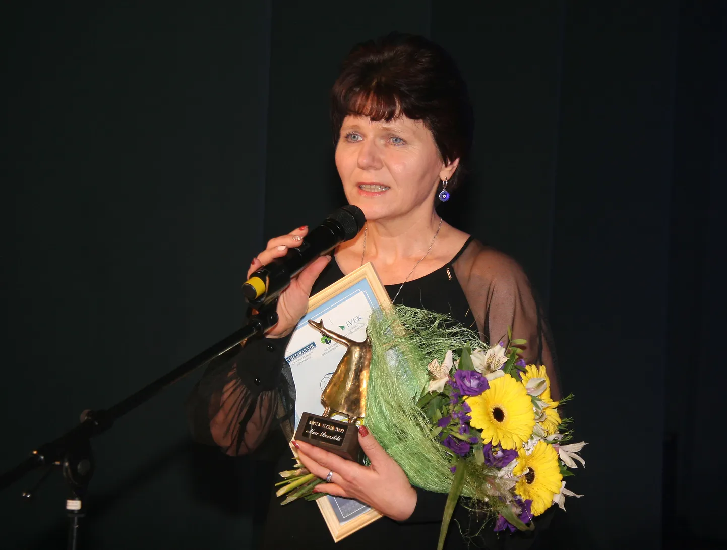 Ida-Virumaa aasta tegija 2019 Mare Roosileht on tulihingeliselt seisnud maakonna hariduselu tugevdamise eest.