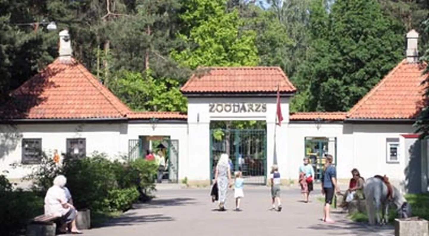 Raksta foto