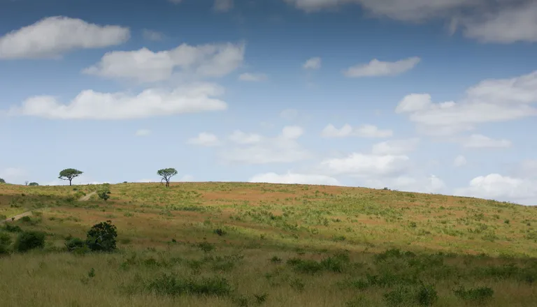 Lõuna-Aafrika vabariigi maastik.